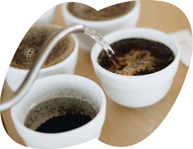 Intro to cupping workshop