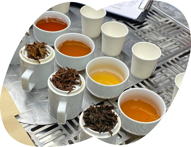 Теория и практика  заваривания чая